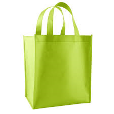 Non Woven D Cut Bag 06