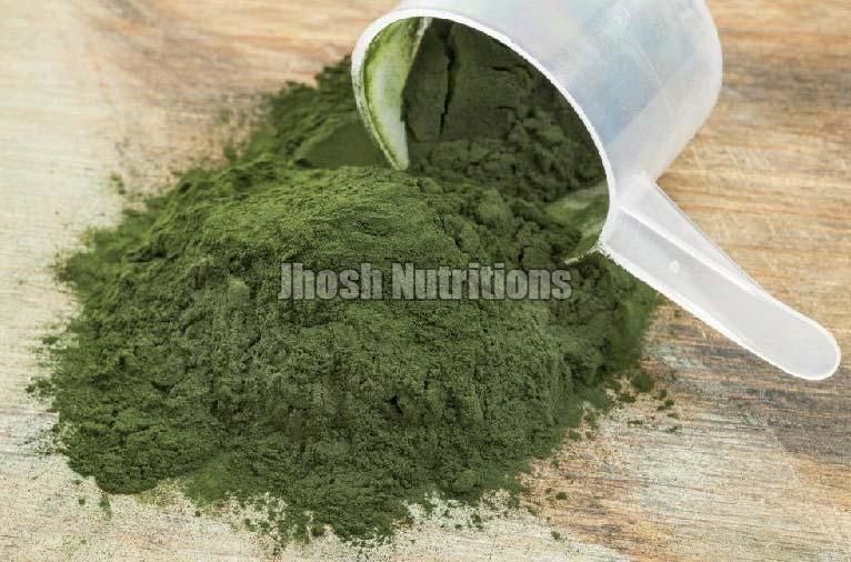 Spirulina Powder 01