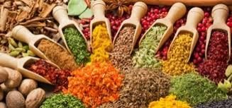 Indian Spice 02