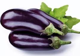 Fresh Brinjal 02