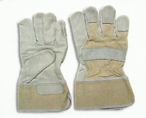 Item Code : CG-WT-201