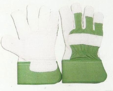 Item Code : CGDP-WT-204