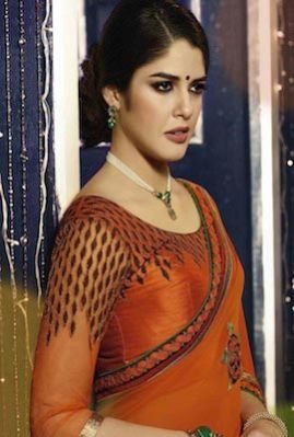 Dameenee Designer Saree