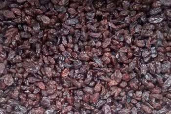 Brown Raisins 02