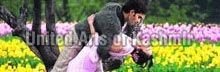 Kashmir Honeymoon Package