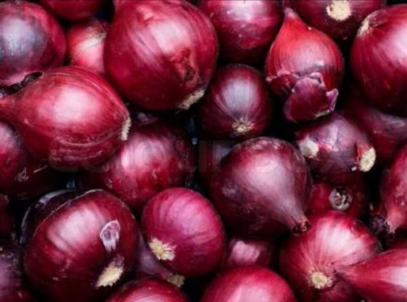 Fresh Red Onions 02