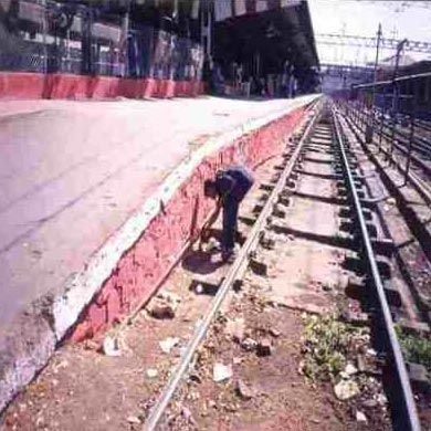 Rodent Control Services 01