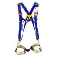 Full Body Harness (ICE - FBH - 04)