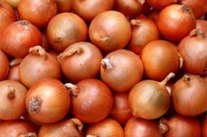 Agrifound Light Red Onion