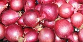 NHRDF Red Onion