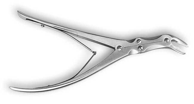 Parrot Bone Roungers