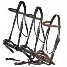 English Horse Bridle 12