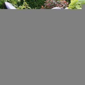 English Horse Tack English Saddle