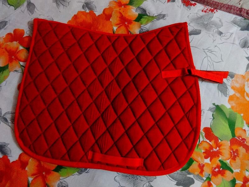 Horse Riding Accessories 12