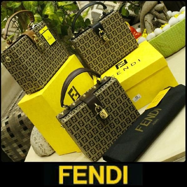 Fendi Hand Bag 05