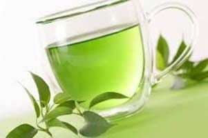 Organic Green Tea