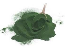 Spirulina Powder