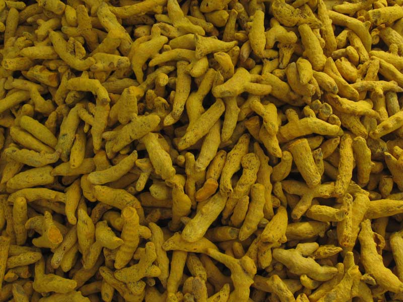 Mini Salem Turmeric Finger (Double Polish)