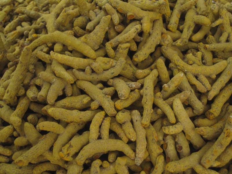 Mini Salem Turmeric Finger (Single Polish)