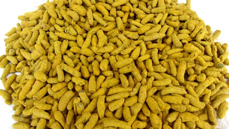 Turmeric Bits ( Double Polish ) 02