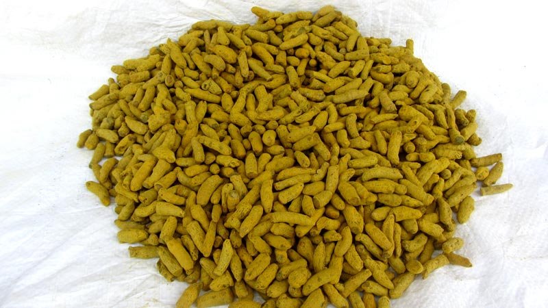 Turmeric Bits ( Double Polish ) 03