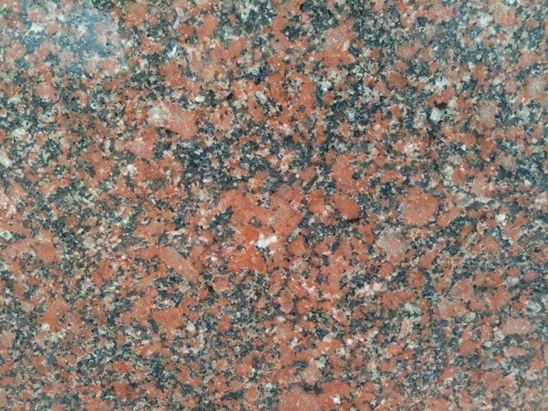 Image 01