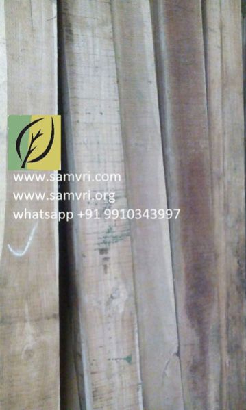 Ivory Coast Teak Wood