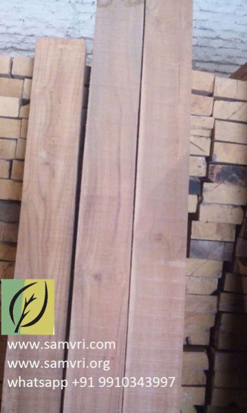 Sudan Teak Wood