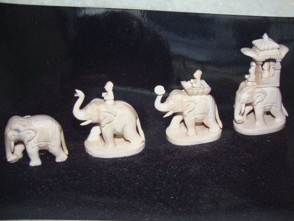 Bone Elephant Set