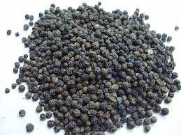 Black Pepper Seeds