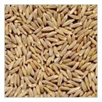 Cumin Seeds