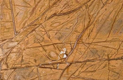 Rainforest Brown Marble Stone