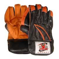 Wicket Keeping Gloves