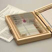 Slide Box with Slides