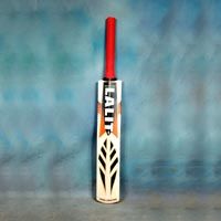 Kashmir Willow Bat (Superjet)