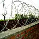 Barbed Concertina Wires