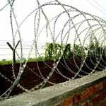 Concertina Wire Fence