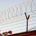 Pick Angle & Posts Concertina