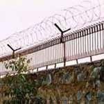 R.B.T Concertina Wire