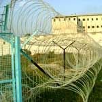 Security Concertina Wires