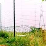 Spool Plastic Concertina Wire