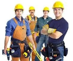 Technical Staff - 2