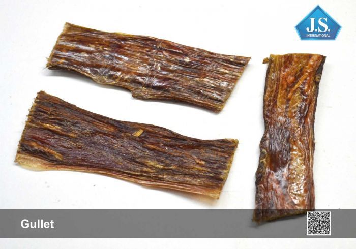 Gullet