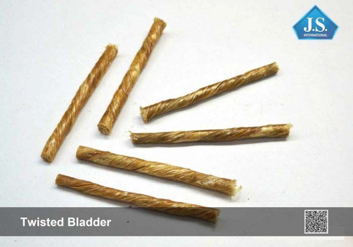 Twisted Bladder