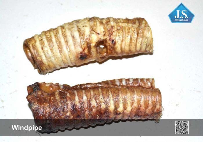 Windpipe