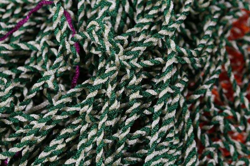 Gop Wali Dori Cord 07