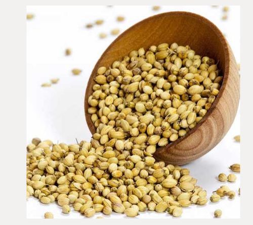 Coriander Seeds 01