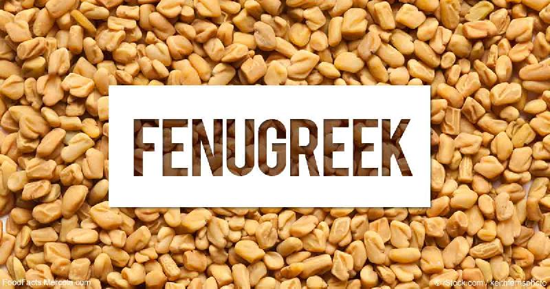 Fenugreek Seeds 01