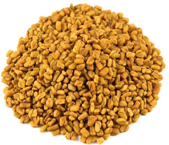 Fenugreek Seeds 02