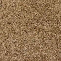 Cut Pile Floor Carpet